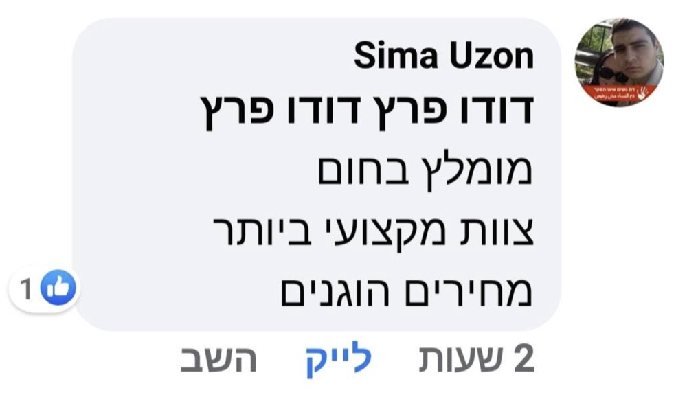המלצה של סימה אוזון על הובלות דודו